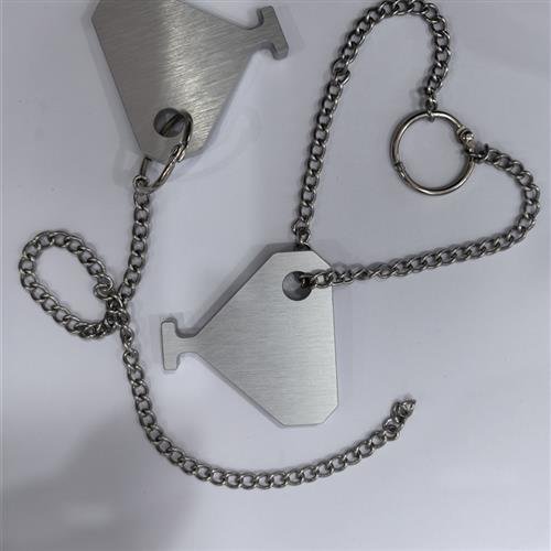 foub key with hole